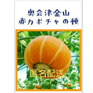 奥会津 金山赤かぼちゃ の種 【10粒】(野菜)