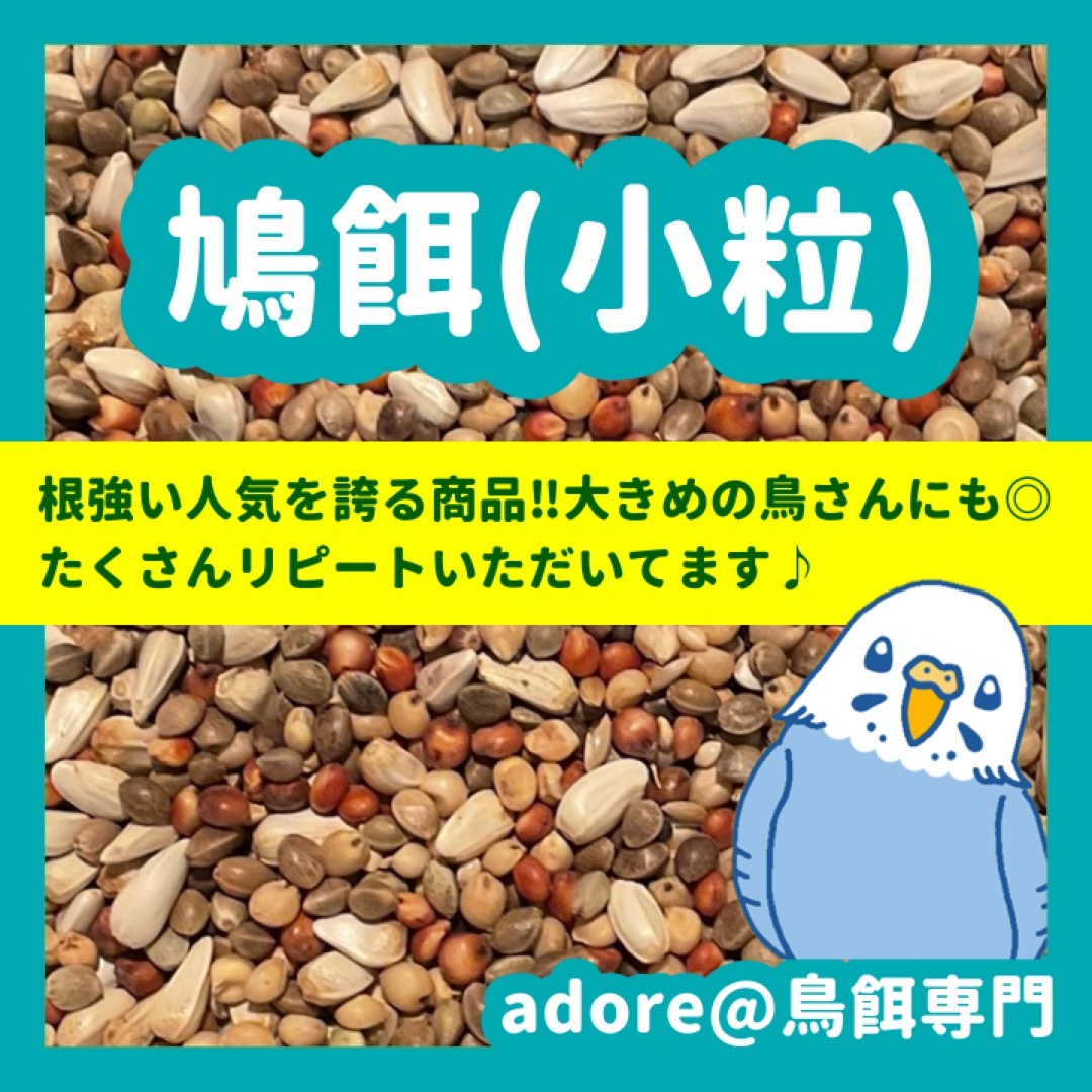 鳩餌（小粒）800ｇ その他のペット用品(鳥)の商品写真