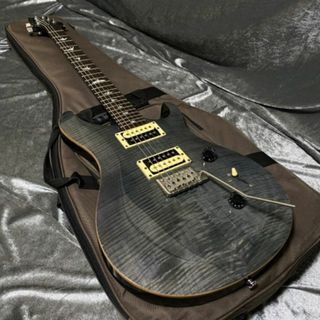 PRS SE Custom24 カスタム24 バードインレイ コイルタップ付き(エレキギター)