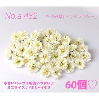 確認用ですNo.a-432かすみ草(ドライフラワー)ミニ4ミリ～6ミリ 60個(ドライフラワー)