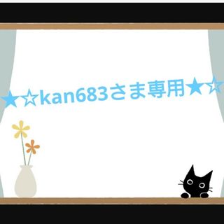 ★kan683さま専用★持ち手付き 保温保冷シート お弁当袋 2点(ランチボックス巾着)