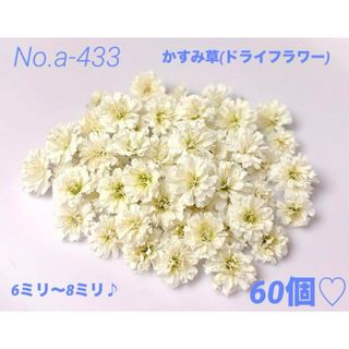 確認用ですNo.a-433かすみ草(ドライフラワー)6ミリ～8ミリ  60個♡(ドライフラワー)