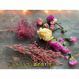 ドライフラワー詰め合わせ③ 花材　ハンドメイド　プリザーブドフラワー(ドライフラワー)