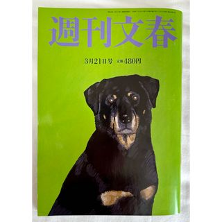 週刊文春 2024年 3/21号 最新号(ニュース/総合)