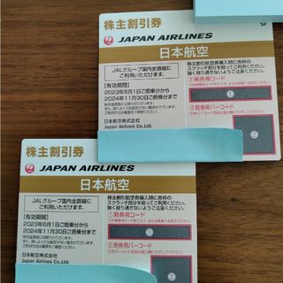 ジャル(ニホンコウクウ)(JAL(日本航空))のJAL航空券 2024/11/30まで有効(航空券)