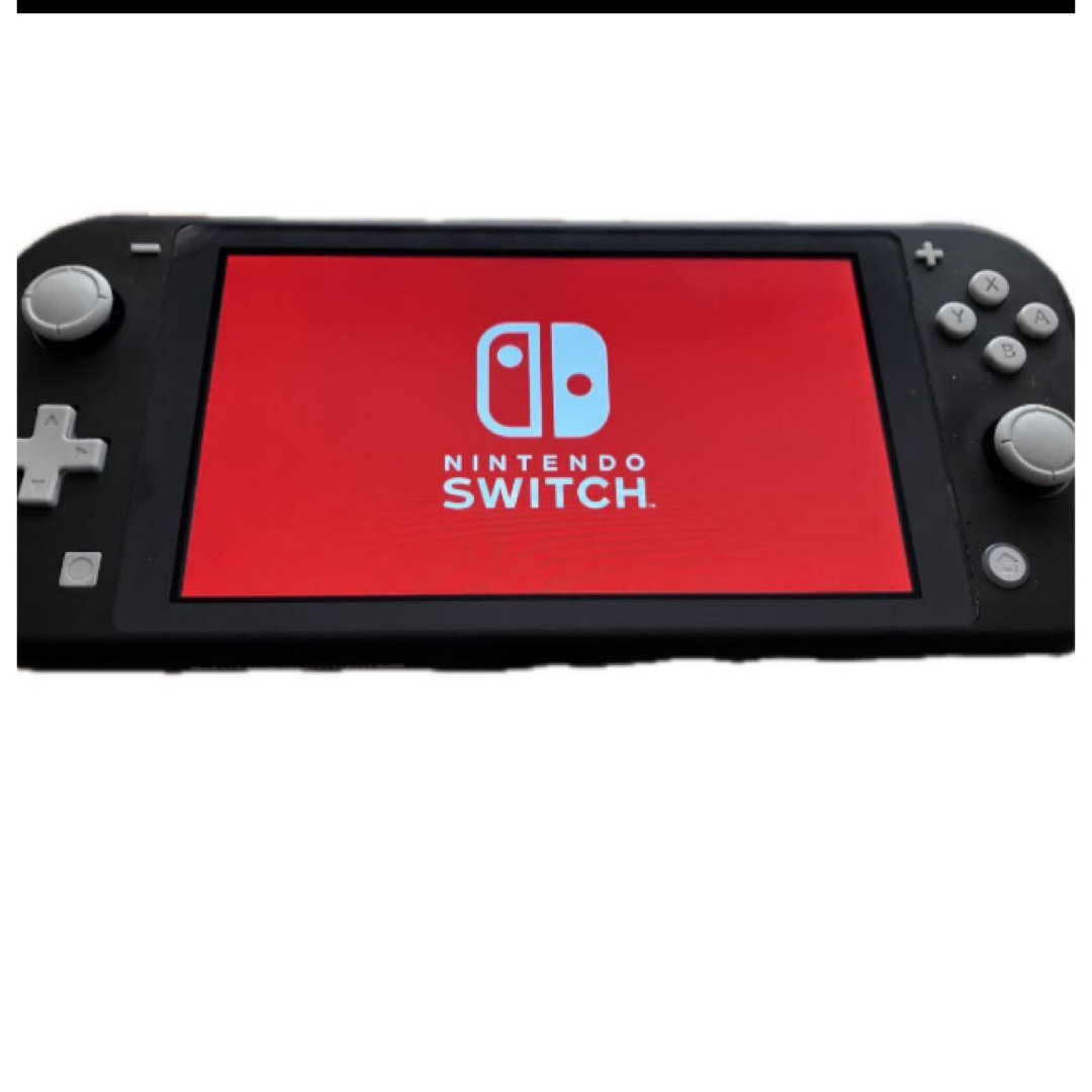Nintendo Switch スイッチライト　グレー　完動品　充電器付き エンタメ/ホビーのゲームソフト/ゲーム機本体(携帯用ゲーム機本体)の商品写真