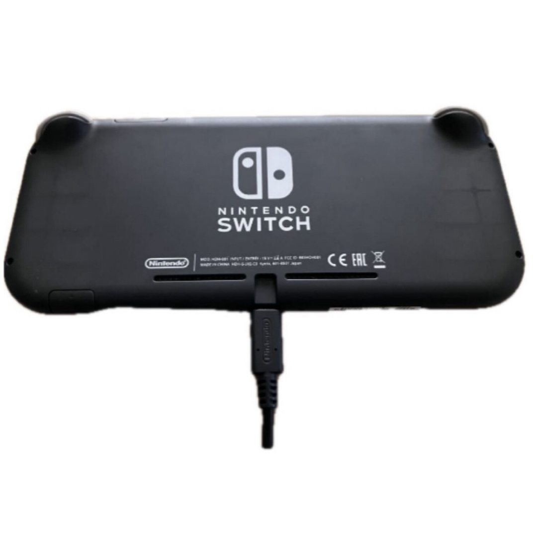 Nintendo Switch スイッチライト　グレー　完動品　充電器付き エンタメ/ホビーのゲームソフト/ゲーム機本体(携帯用ゲーム機本体)の商品写真