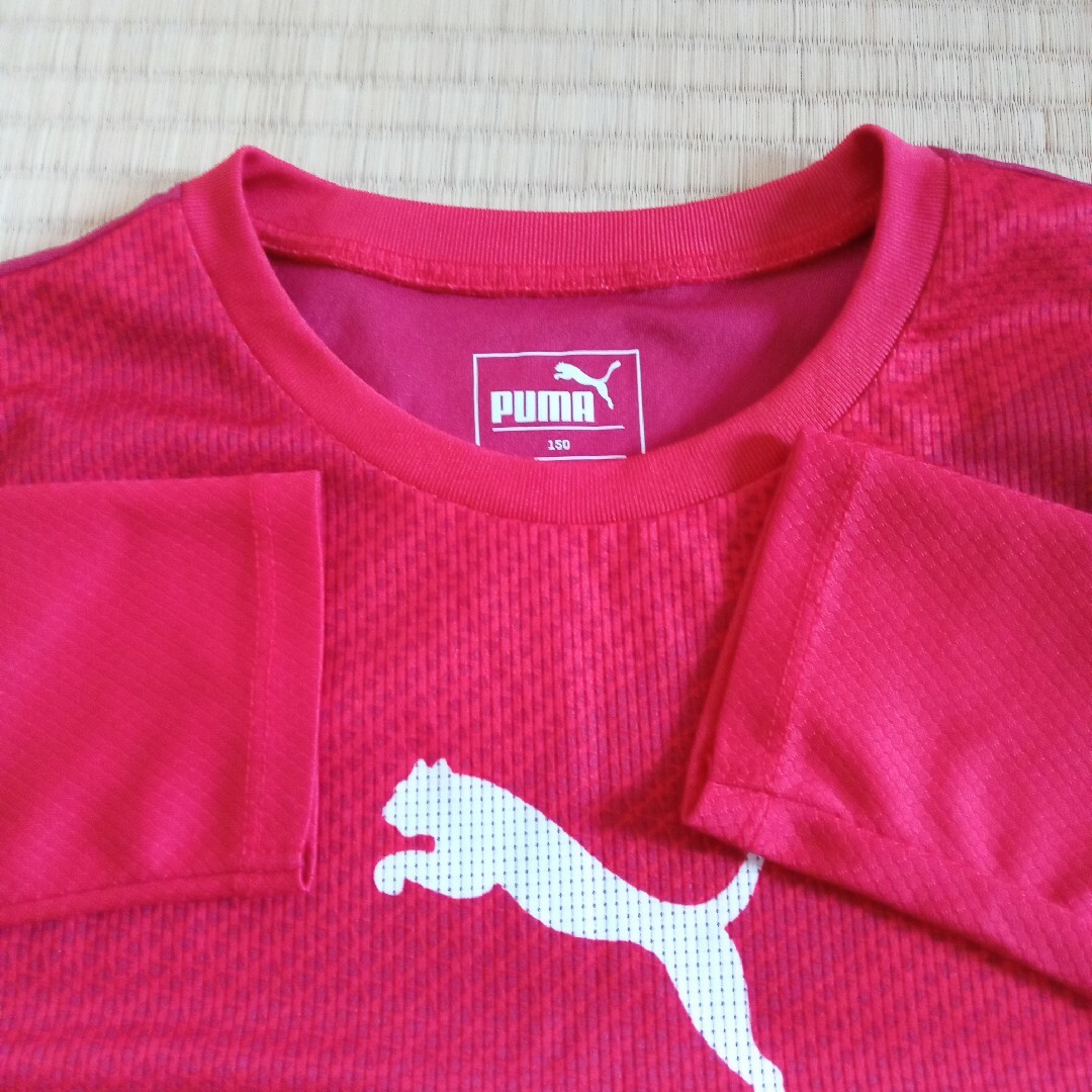 PUMA(プーマ)のプーマ長袖スポーツシャツ150 キッズ/ベビー/マタニティのキッズ服男の子用(90cm~)(Tシャツ/カットソー)の商品写真