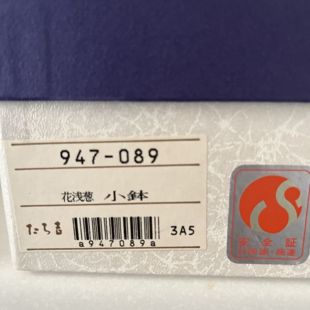 たち吉(タチキチ)のたち吉　小鉢　小皿 インテリア/住まい/日用品のキッチン/食器(食器)の商品写真