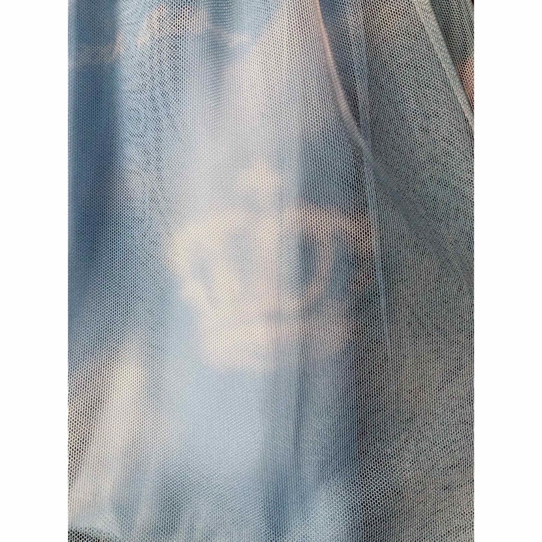 JaneMarple(ジェーンマープル)のジェーンマープル　チュールスカート　空柄　王冠雲 レディースのスカート(ひざ丈スカート)の商品写真