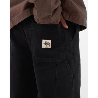 stussy canvas pant(ペインターパンツ)