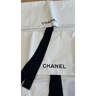 シャネル(CHANEL)のシャネル　洋服ポーチ　最新　2枚セット(ポーチ)