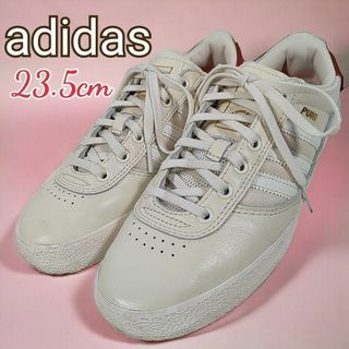 アディダス(adidas)のアディダス◎美品✨スニーカー スケートボーディング プイグ(23.5)クリーム色(スニーカー)