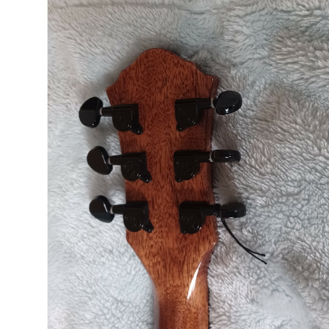 ケース付きMichael kelly guitars　エレアコです 楽器のギター(エレキギター)の商品写真