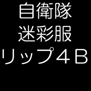 陸上自衛隊 リップストップ 迷彩服 ４Ｂ(戦闘服)