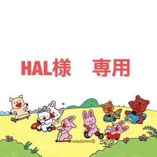 HAL 様　専用(ポーチ)