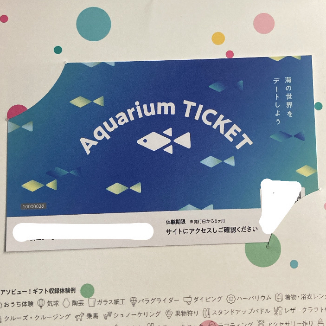 水族館ペアチケット（アソビュー！） チケットの施設利用券(水族館)の商品写真