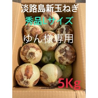 ◉秀品Lサイズ5Kg ◉淡路島新玉ねぎ　たまねぎ　玉葱(野菜)