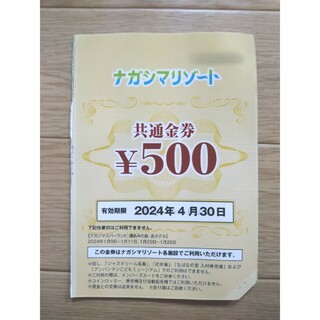 ナガシマリゾート 500円オフ クーポン 1枚(遊園地/テーマパーク)