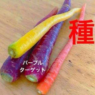 種27粒　ニンジン　パープルターゲット(その他)