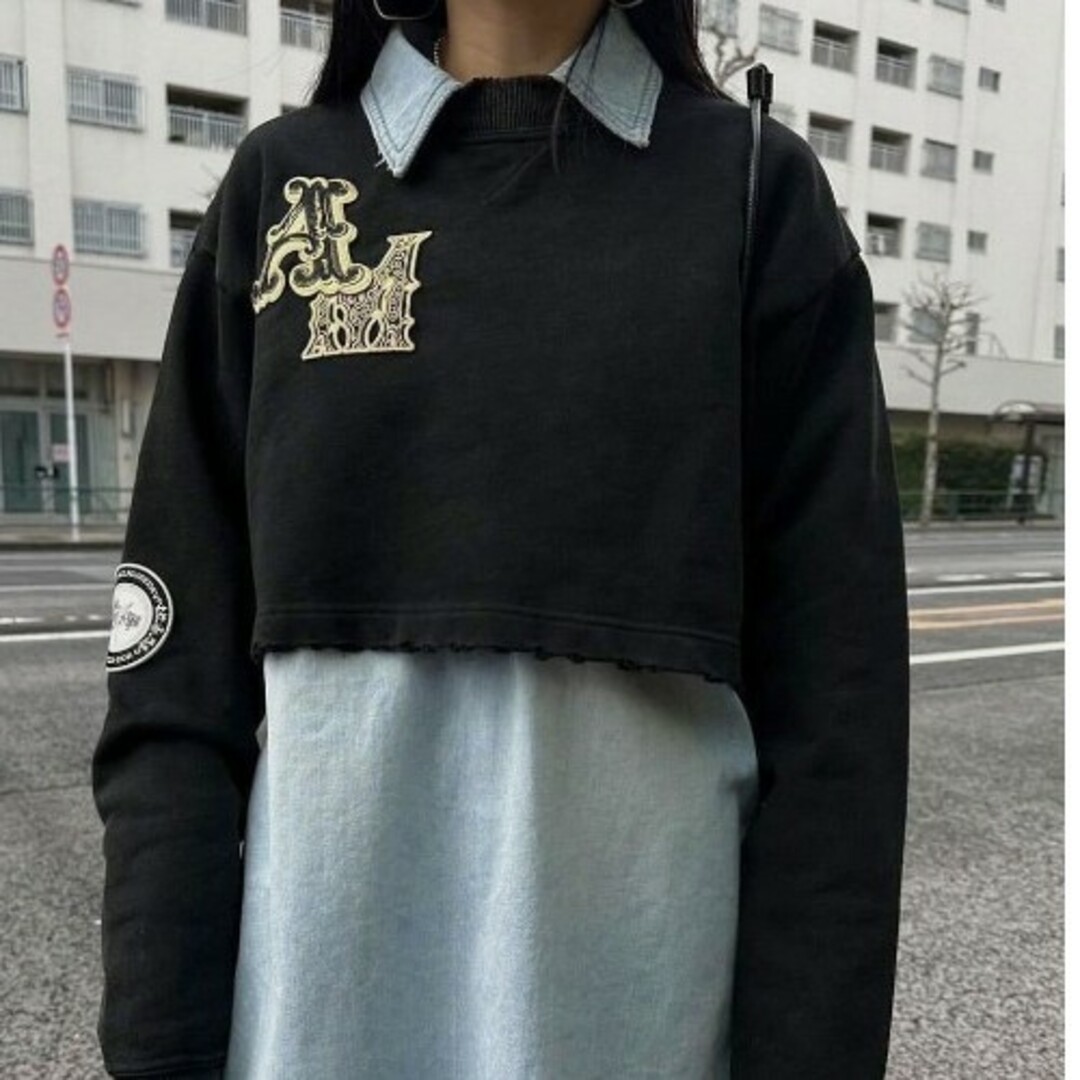 Ameri VINTAGE(アメリヴィンテージ)のAmeriVINTAGE 新作完売品 WAPPEN SWEAT TOP レディースのトップス(トレーナー/スウェット)の商品写真