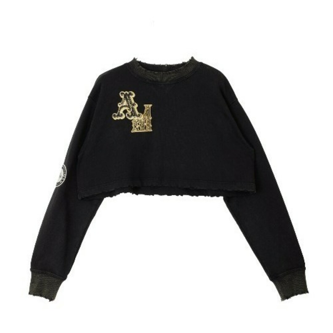 Ameri VINTAGE(アメリヴィンテージ)のAmeriVINTAGE 新作完売品 WAPPEN SWEAT TOP レディースのトップス(トレーナー/スウェット)の商品写真