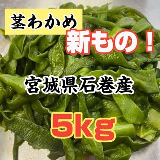 茎わかめ　宮城県石巻産　新もの！(その他)