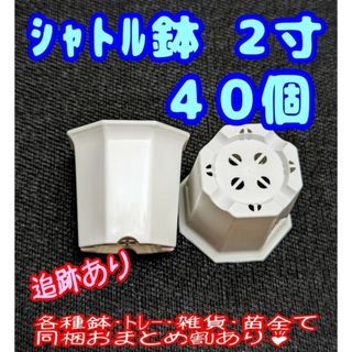 シャトル鉢【2寸】40個 プラ鉢 八角鉢 スリット鉢 プレステラ 多肉植物(プランター)