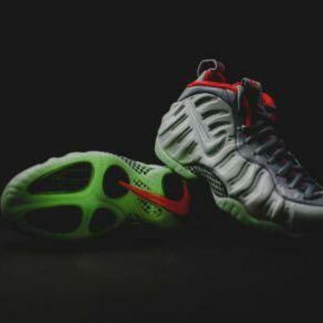 NIKE(ナイキ)のNIKE AIR FOAMPOSITE PRO PRM 28.5cm メンズの靴/シューズ(スニーカー)の商品写真