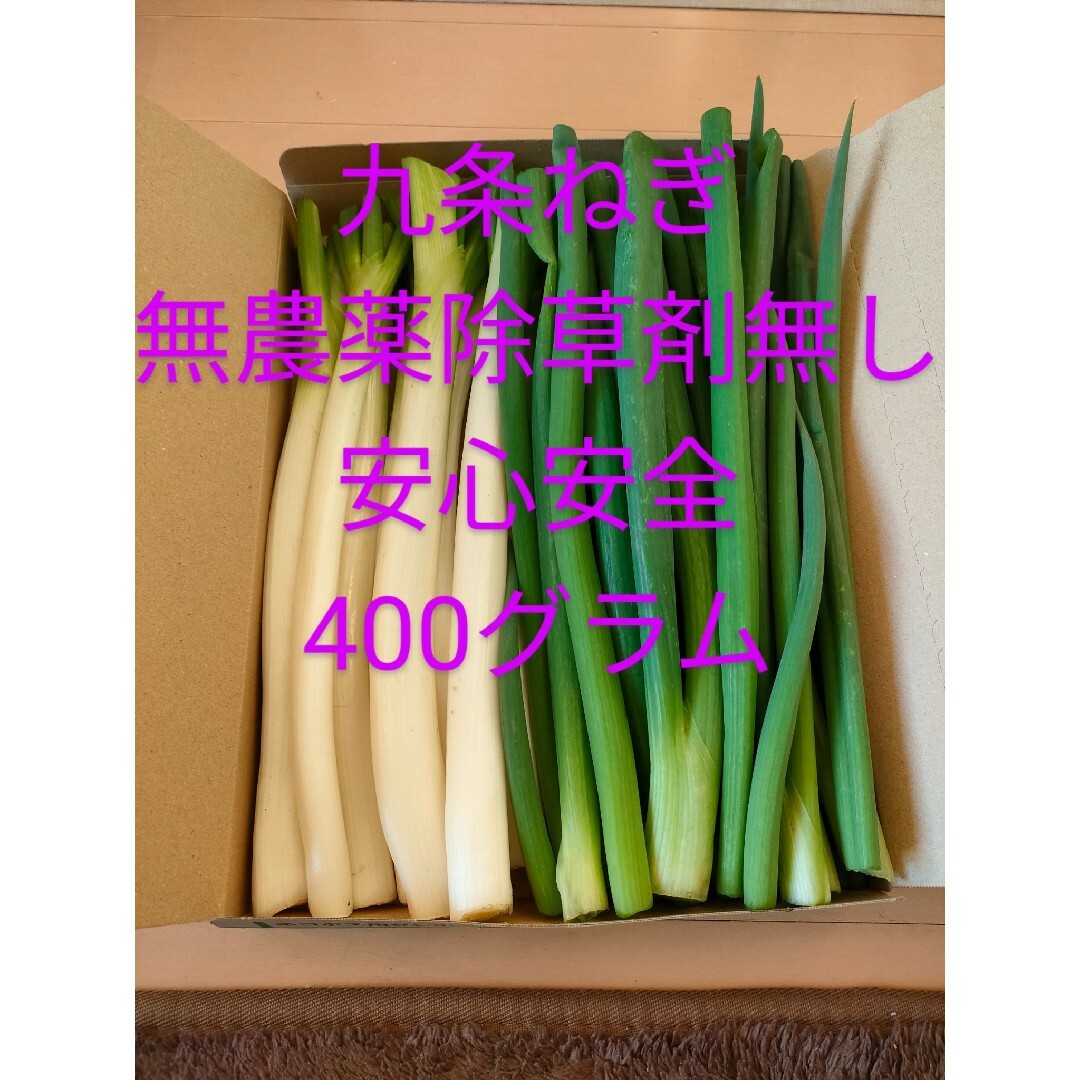 九条ねぎ長ネギ無農薬除草剤無し 食品/飲料/酒の食品(野菜)の商品写真