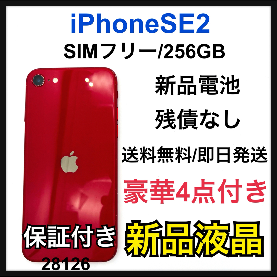 iPhone(アイフォーン)のiPhone SE 第2世代 (SE2) レッド 256 GB SIMフリー スマホ/家電/カメラのスマートフォン/携帯電話(スマートフォン本体)の商品写真
