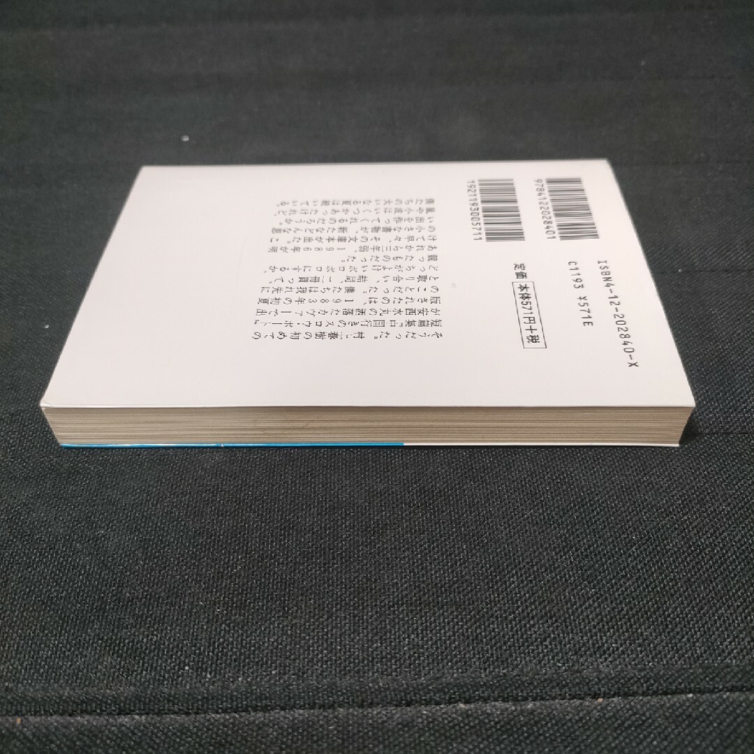 専用　中国行きのスロウ・ボ－トほか　【2点以上は1点150円引き】 エンタメ/ホビーの本(その他)の商品写真