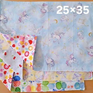 ☆ハンドメイド☆ランチョンマット☆35×45 ハリネズミ 小学生 ☆285の