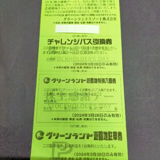 グリーンランド　株主感謝デー特別チケット　１枚 即日発送可　株主優待券(遊園地/テーマパーク)