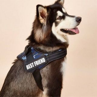 ペットハーネス 犬 首輪 介護(リード/首輪)