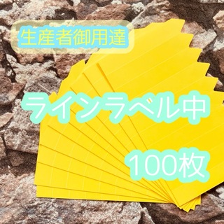 ラインラベル 中 黄 100枚 園芸カラーラベル 多肉植物 エケベリア(プランター)