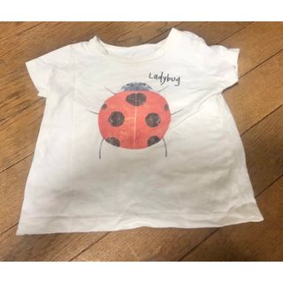 インセクトコレクション(INSECT　COLLECTION)のINSECT COLLECTION てんとうむしちゃんプリントTシャツ　S 85(Ｔシャツ)