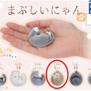 バンダイ(BANDAI)のまぶしいにゃん ガチャ　茶トラ　片手　トラ　猫　にゃんこ　ガシャポン(ぬいぐるみ)