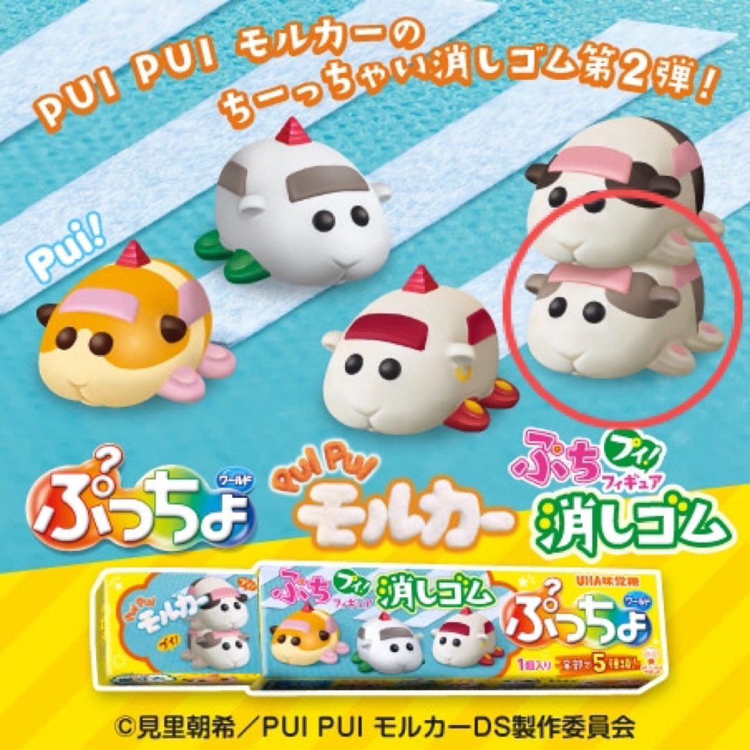 UHA味覚糖(ユーハミカクトウ)のぷっちょワールド PUI PUI モルカー 第2弾 テンテン エンタメ/ホビーのおもちゃ/ぬいぐるみ(キャラクターグッズ)の商品写真