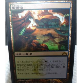 マジックザギャザリング(マジック：ザ・ギャザリング)の繁殖池　mtg(シングルカード)