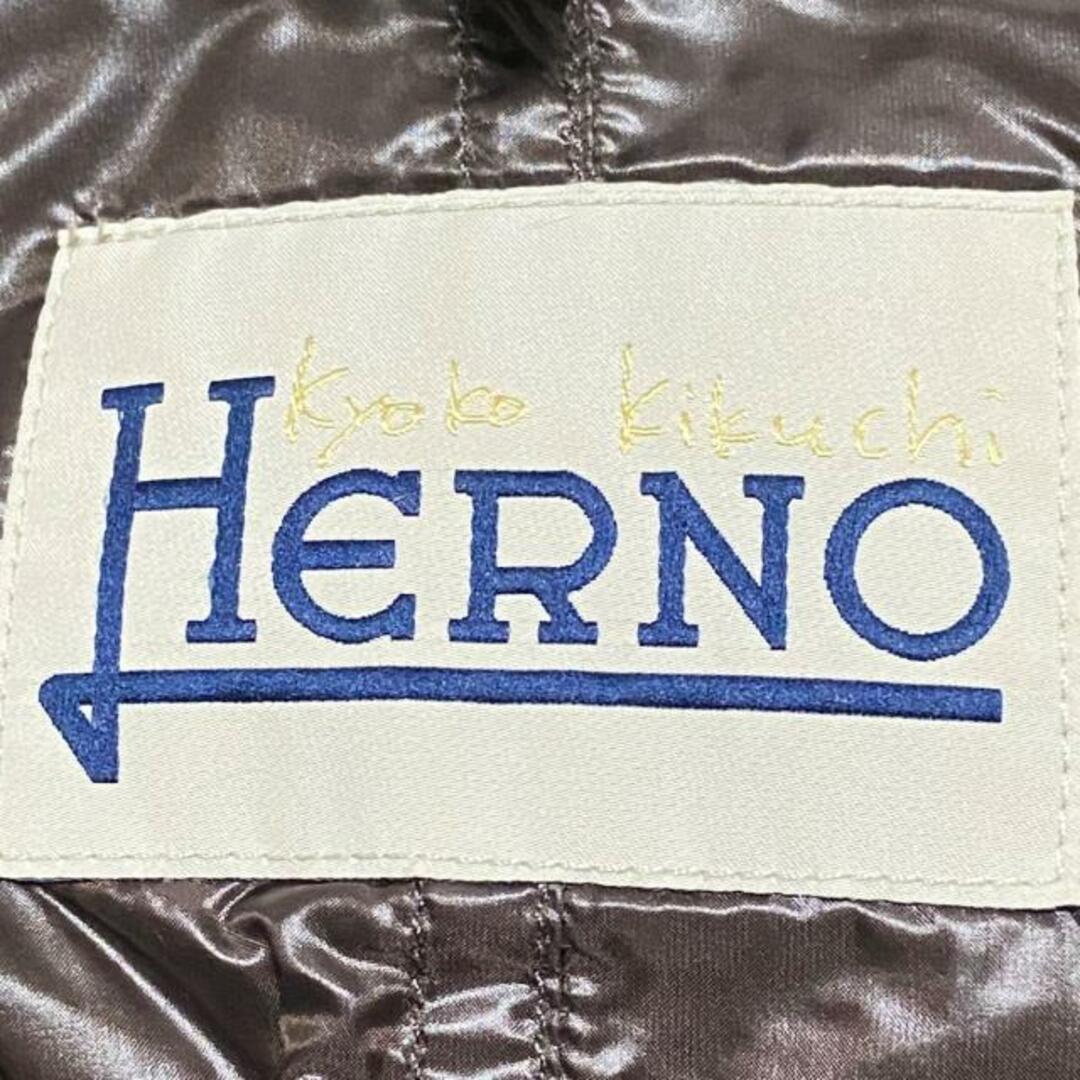 HERNO(ヘルノ)のヘルノ ダウンジャケット サイズ40 M - レディースのジャケット/アウター(ダウンジャケット)の商品写真