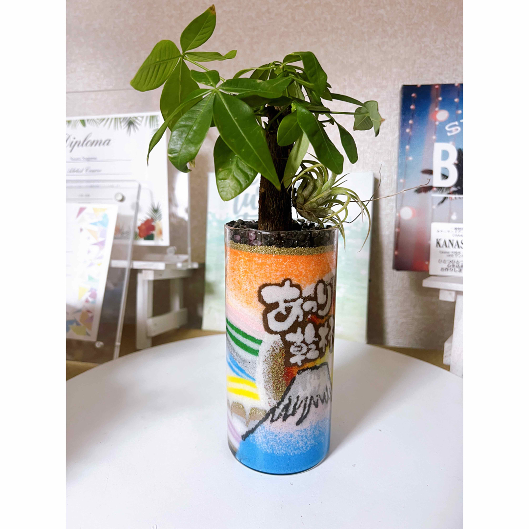 カラーサンドアート　パキラ　エアプランツ　観葉植物 インテリア/住まい/日用品のインテリア小物(花瓶)の商品写真