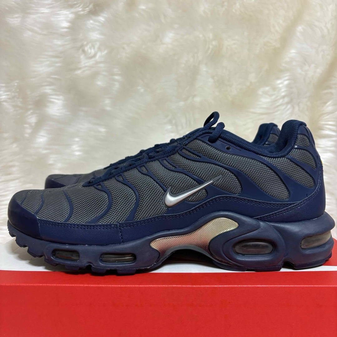 NIKE(ナイキ)の新品未使用 Nike air max plus 28.5cm Dark gray メンズの靴/シューズ(スニーカー)の商品写真