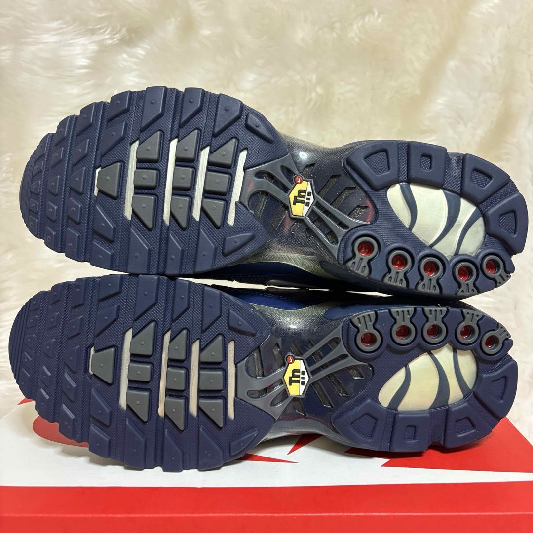 NIKE(ナイキ)の新品未使用 Nike air max plus 28.5cm Dark gray メンズの靴/シューズ(スニーカー)の商品写真