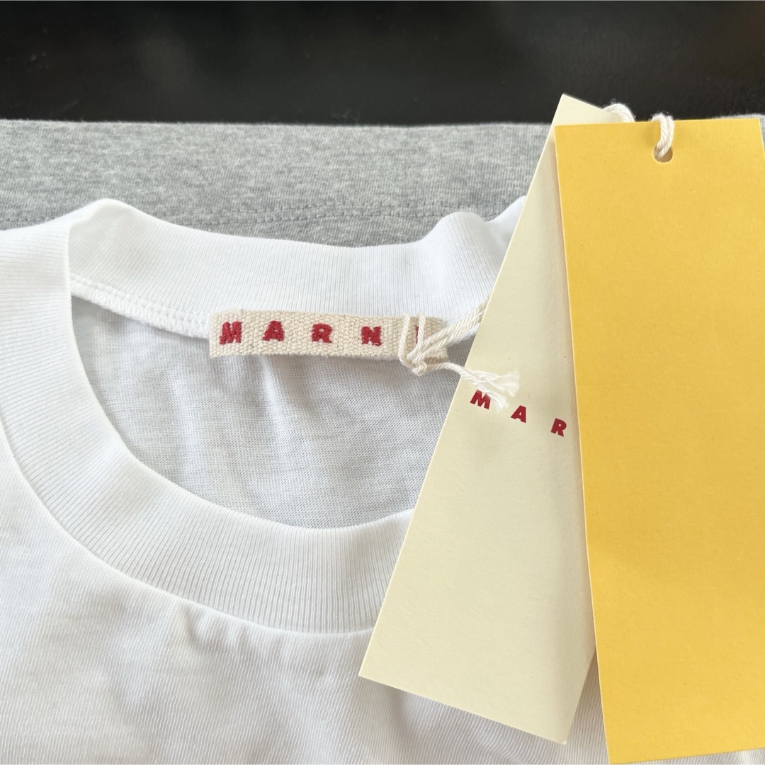 Marni(マルニ)のMARNI マルニ　ロゴ入り 半袖Tシャツ　カットソー　グレー　XSサイズ レディースのトップス(Tシャツ(半袖/袖なし))の商品写真