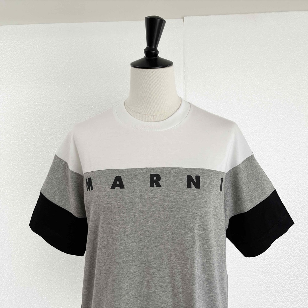 Marni(マルニ)のMARNI マルニ　ロゴ入り 半袖Tシャツ　カットソー　グレー　XSサイズ レディースのトップス(Tシャツ(半袖/袖なし))の商品写真