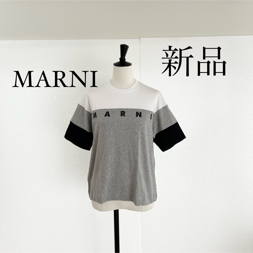 Marni(マルニ)のMARNI マルニ　ロゴ入り 半袖Tシャツ　カットソー　グレー　XSサイズ レディースのトップス(Tシャツ(半袖/袖なし))の商品写真