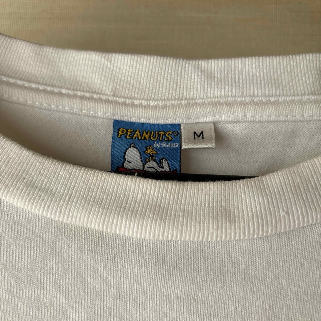 テイシャツ長袖 レディースのトップス(シャツ/ブラウス(長袖/七分))の商品写真