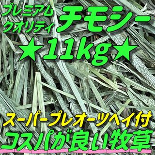 ★チモシー 11kg 新着◼︎プレミアム一番刈 うさぎ ペットフード 牧草おやつ(小動物)