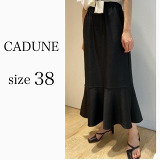 アプワイザーリッシェ(Apuweiser-riche)のCADUNE ジャージースカート　　38(ロングスカート)